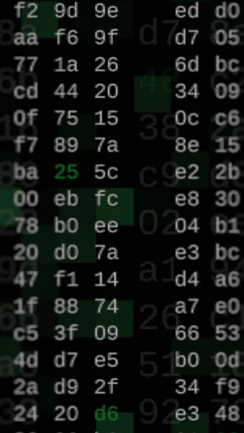 Hexadecimal code Stock Footage 329612972