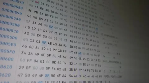 Hexadecimal Code Inspecting on Screen During Data Processing Stock Footage 347519146