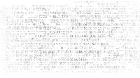 Hexadecimal code running up a computer screen on white background. Blue digits Video stock 65399933