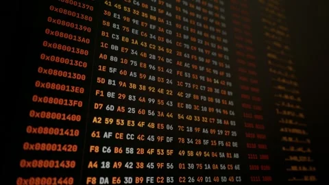 Hexadecimal Code Scrolling Across Amber Monitor in Dark Room Close-Up Stock Footage 347519110