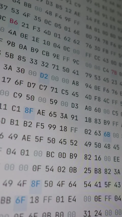 Hexadecimal Code Streaming on Computer Monitor Screen in Close-Up Stock Footage 347522685