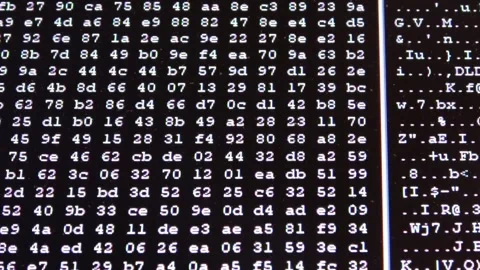 Hexadecimal computer code scrolling on black screen Stock Footage 323478571
