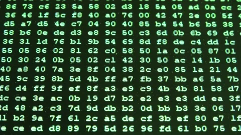 Hexadecimal computer code scrolling on green monitor screen Stock Footage 323478583