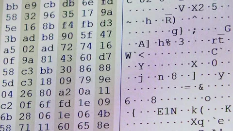 Hexadecimal computer code scrolling on a screen Stock Footage 323478548