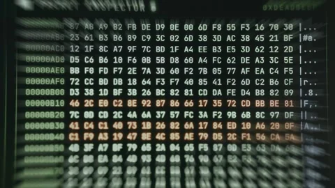 Hexadecimal dump, binary data in human-readable hexadecimal values Vidéo 335881822