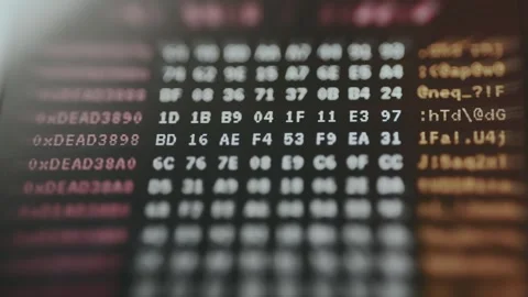 Hexadecimal dump of computer data Vidéo 335454145