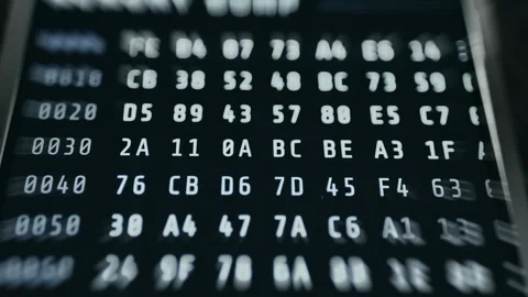 Hexadecimal Memory Data Dump - Selective Focus View Stock Footage 336402759