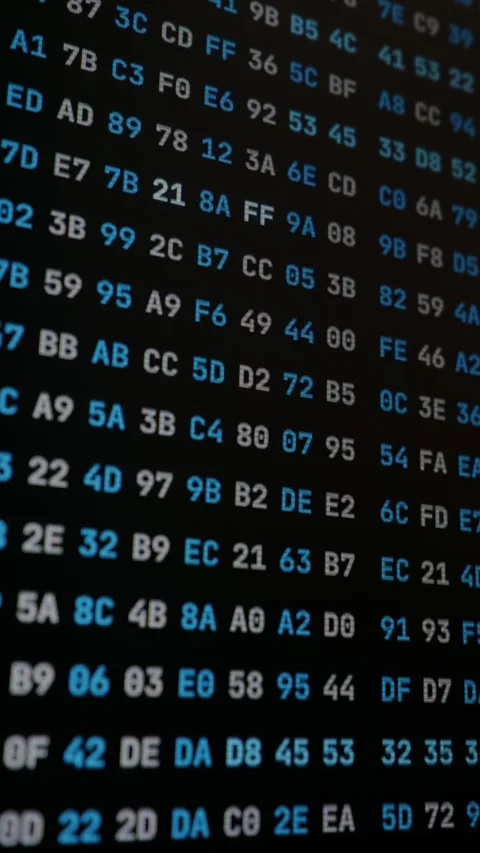 Hexadecimal Memory Dump Code Scrolling on Screen in Tech Close-Up Stock-Footage 347522489