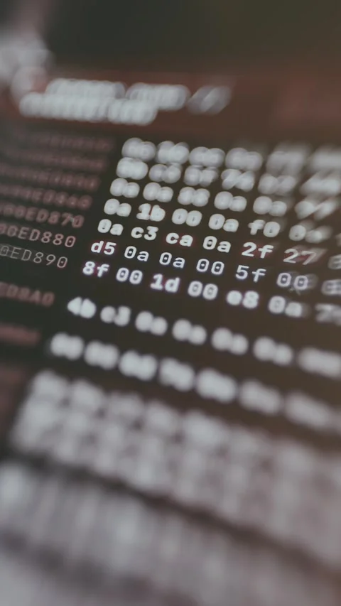Hexadecimal representation of computer data blocks Stock Footage 335457866