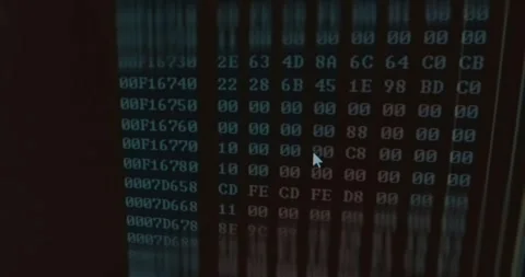Hexadecimal representation of a computer file Stock Footage 321757342