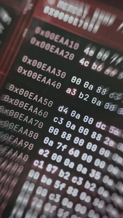 Hexadecimal representation of computer memory Stock Footage 335463938