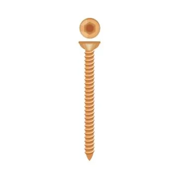 Hexagon brass screw. Vector illustration on a white background. Stock Illustration