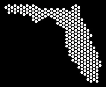 Hexagon Florida Map 库存插图