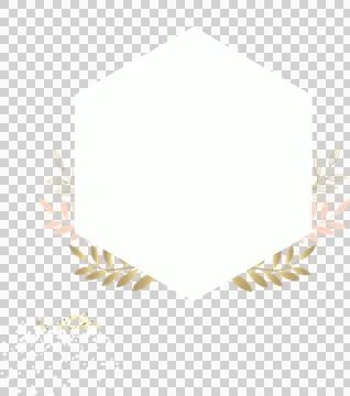 Hexagon frame in flat design is featuring leaf motifs and confetti dots on Stock Illustration