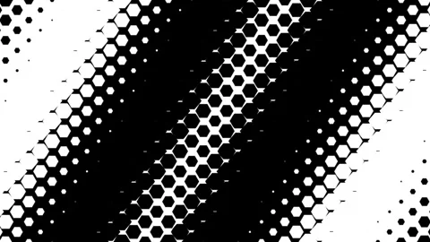 Hexagon Halftone Pattern Transition with Black and White Geometric Animation Stock Footage 330482037