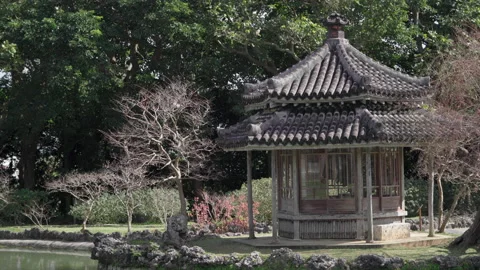 Hexagon of Identai Garden Video stock 161950515