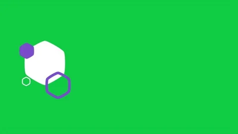 Hexagon Lower Third Purple Badge Green Screen Motion Graphic 스톡 동영상 347132745