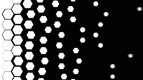 Hexagon Transition Set. Monochrome Set of Transitions for projects. Slideshow, B Stock Footage 151304796