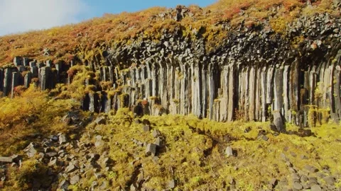 Hexagonal Basalt Columns in Icelandic Landscape with Autumn Vegetation Stock Footage 320507723