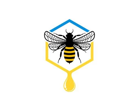 Hexagonal bee hive with hone comb and bee inside Stock Illustration