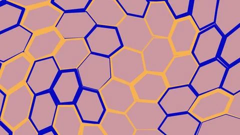 Hexagonal cell structure with colorful borders 库存插图
