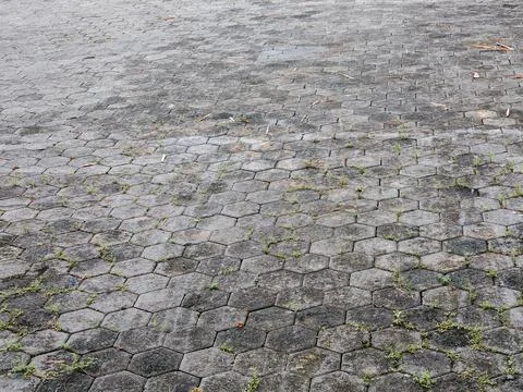 Hexagonal concrete paving stone texture with natural grass growth and weathe Fotos Stock