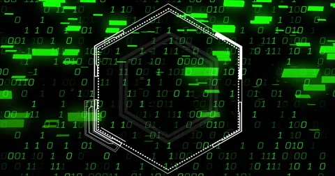 Hexagonal frame over green binary code and digital data processing animation 動画素材 306636992