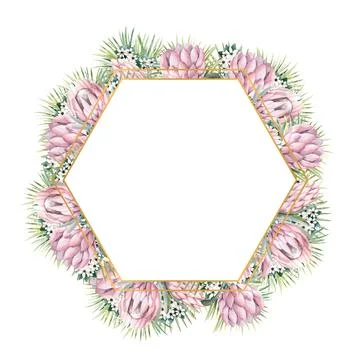 Hexagonal gold frame with protea flowers, tropical leaves, palm leaves Stock Illustration