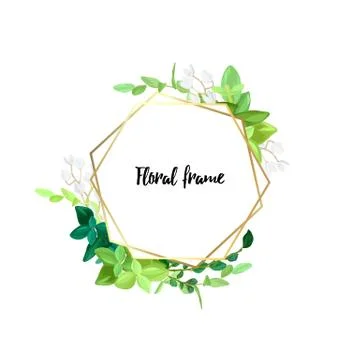 Hexagonal gold frame with white flowers, eucalyptus leaves and succulent plants Stock Illustration