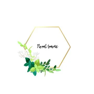 Hexagonal gold frame with white flowers, eucalyptus leaves and succulent plants Stock Illustration