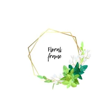Hexagonal gold frame with white flowers, eucalyptus leaves and succulent plants Stock Illustration