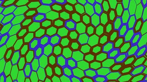 Hexagonal green cells pattern with brown borders 스톡 일러스트