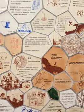 Hexagonal Information Wall With Text And Images Stock Photos