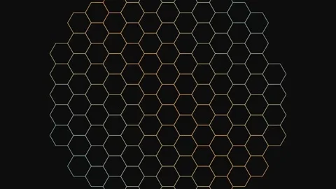 Hexagonal Lattice Bloom Stock Footage 308403841