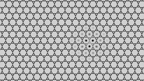 Hexagonal Mesh Ripple Background Monochrome Seamless Loop Stock Footage 341755199