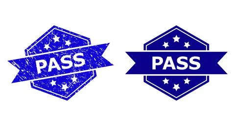 Hexagonal PASS Seal with Distress Surface and Clean Variant 库存插图