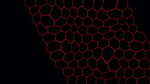 Hexagonal Pattern Growing In Red Outline Against Black Background With Subt.. Stock Footage 342507945