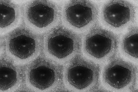 Hexagonal pattern of honeycomb seen up close in black and white Stock Photos