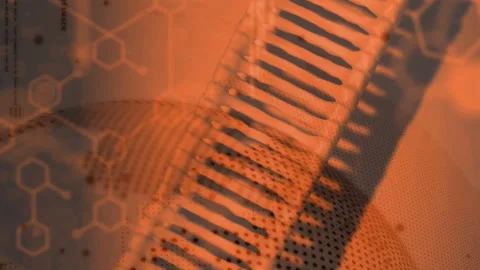 Hexagonal patterns and data processing animation over abstract orange background Video stock 312917221
