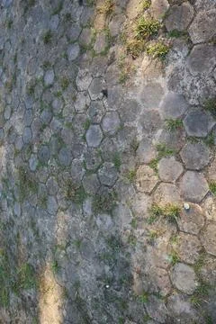 Hexagonal pavement with grass growing through the cracks texture Stock Photos