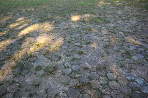 Hexagonal pavement ground texture with grass shadows Stock Photos