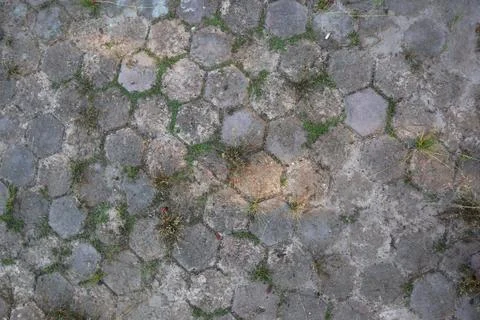 Hexagonal Pavement with Natural Integration Ground Texture Background Stock Photos