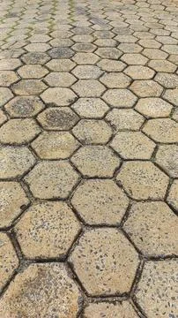 Hexagonal Paver Pathway Stock Photos