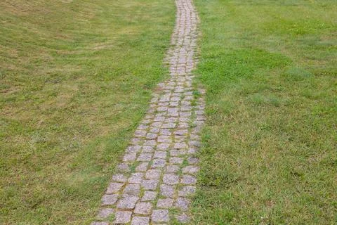 Hexagonal paving block path in the middle of green grass. Stock Photos