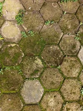 Hexagonal Paving bricks texture Stock Photos