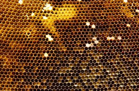 Hexagonal textured honeycomb background close-up. Black broun yellow backgrou Stock Photos