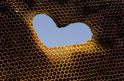 Hexagonal textured honeycomb background close-up. Heart shaped hole in bee fr Stock Photos
