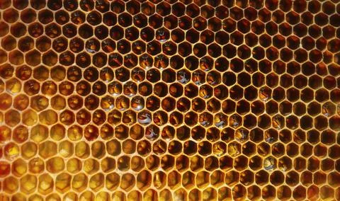 Hexagonal textured honeycomb background close-up. Black broun yellow backgrou Stock Photos