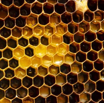 Hexagonal textured honeycomb background close-up. Black broun yellow backgrou Stock Photos