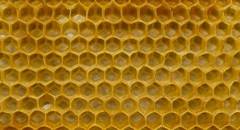 Hexagonal textured honeycomb background close-up Stock Photos